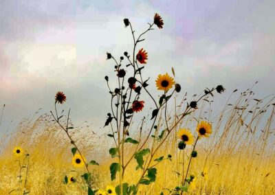 Expanding Our View of Leadership