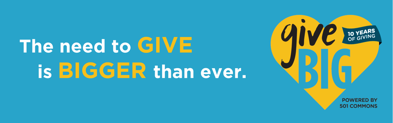 Give BIG logo with text "the need to give is bigger than ever."