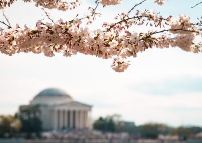 Join to Show Your Support for Nonprofits