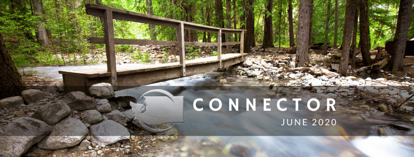  Footbridge in North Cascades National Park by Ryan Stone on Unsplash