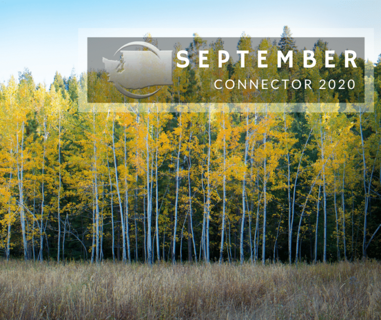 September 2020