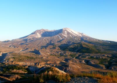 TrendWatch: COVID-19’s Impact on Nonprofits