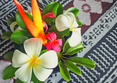 Voices of Pacific Island Nations (VOPIN) – CARES Act Funding Helps Nonprofit Address Achievement Gap among Kitsap County Pacific Islander Students