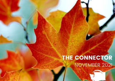 November 2021 Connector