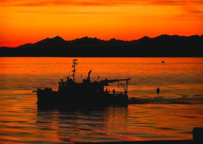 How do I know I’m getting reliable nonprofit information online?