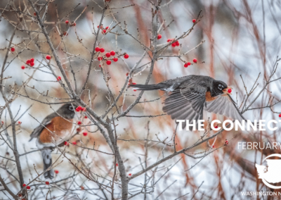 February 2022 Connector