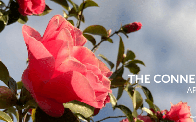 April 2022 Connector