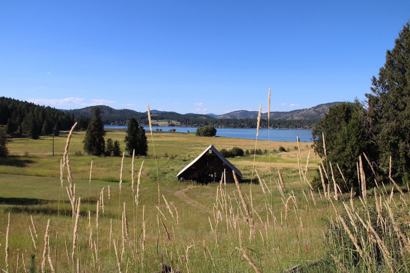 Alexandra_Panagotacos_Waitts_Lake