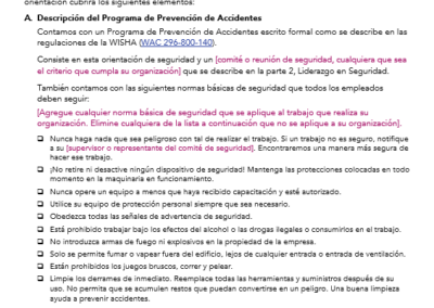Plantilla del Programa de Prevención de Accidentes