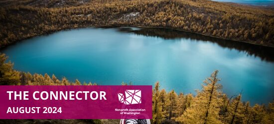 The Connector Newsletter | August 2024