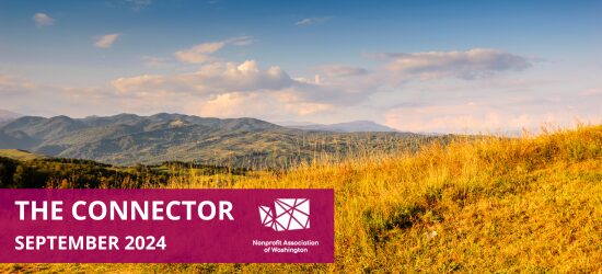 The Connector Newsletter | September 2024