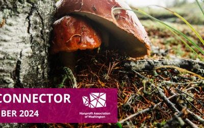 The Connector | November 2024