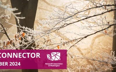 The Connector | December 2024