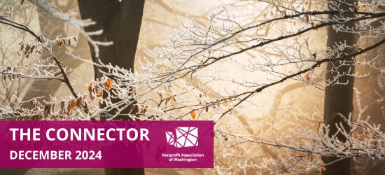 The Connector | December 2024