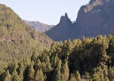 Staying Informed: Essential Resources for Nonprofits in an Ever-changing Landscape