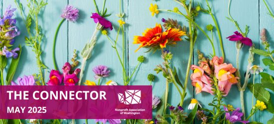 The Connector Newsletter | May 2025
