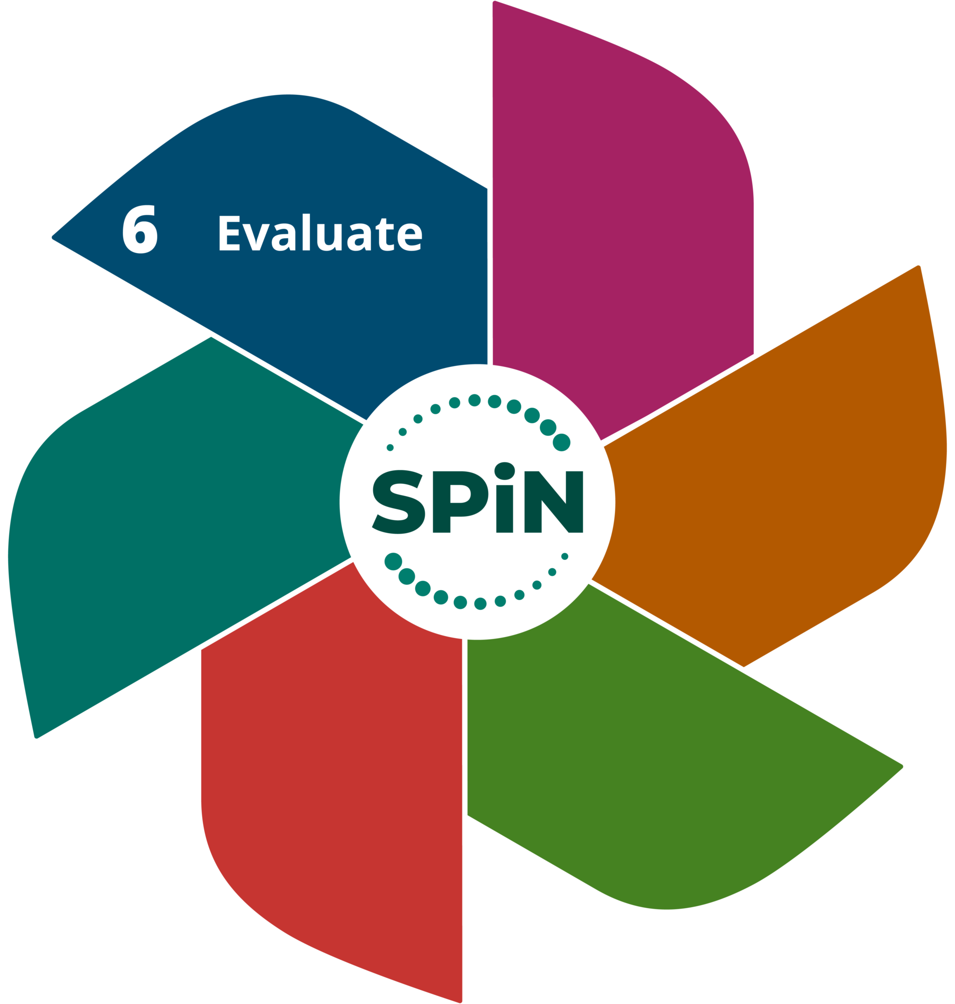SPiN Stage 6: Evaluate