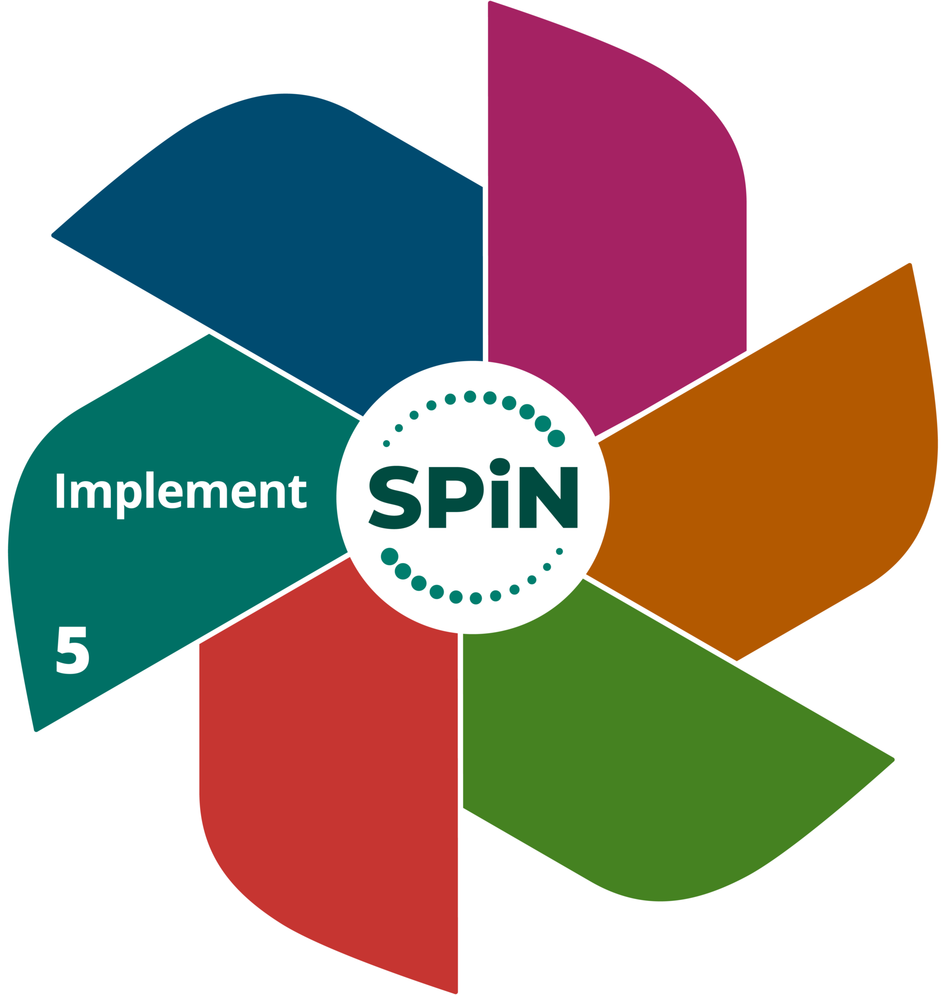 SPiN Stage 5: Implement