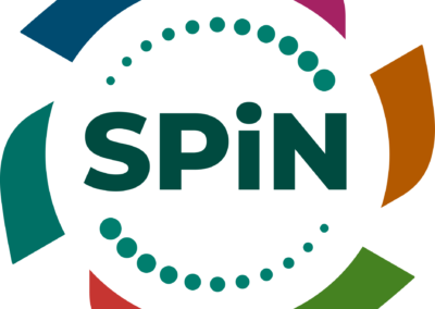 Strategic Planning in Nonprofits