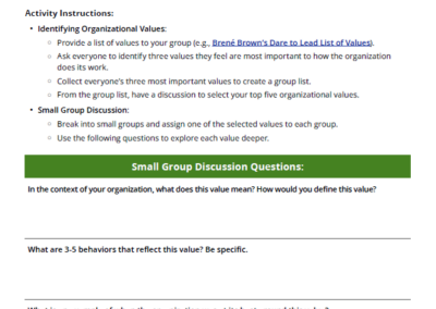 Organizational Values Activity