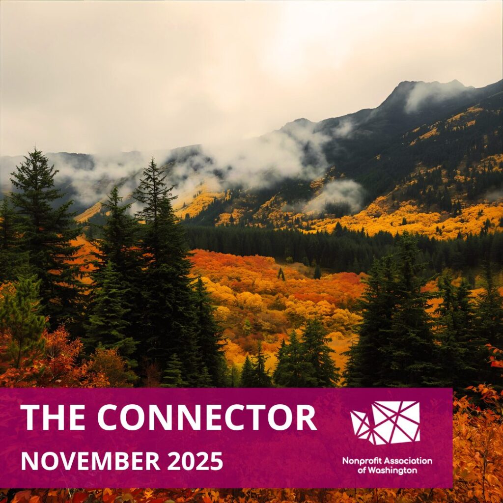 The Connector | November 2025