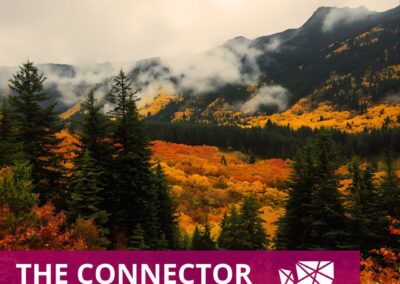 The Connector | November 2025