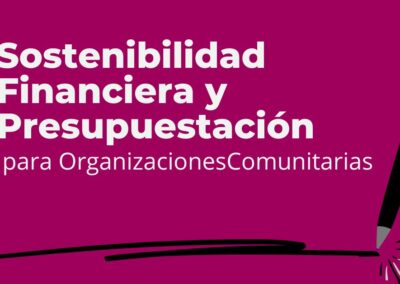 En línea: Sostenibilidad Financiera y Presupuestación para Organizaciones Comunitarias