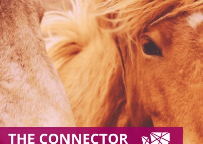 The Connector | February 2026