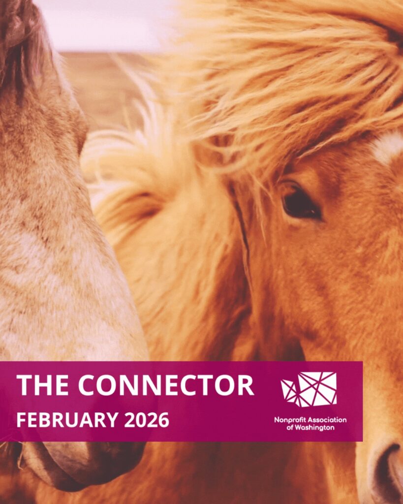 The Connector | February 2026
